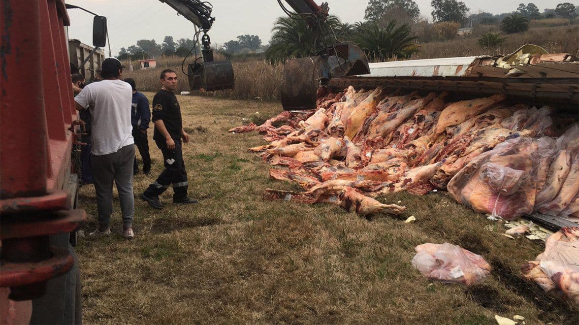 La Plata: volcó un camión con 17 mil kilos de carne y desparramó toda su carga en la autopista