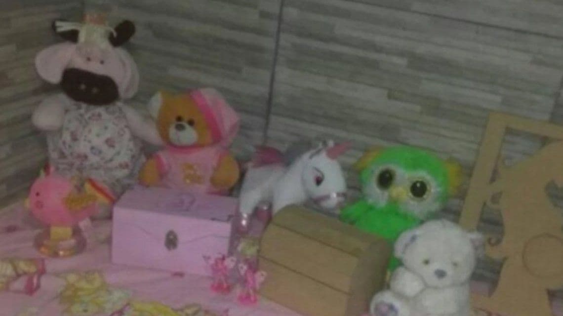 Entraron a robar a su casa y se llevaron las cenizas de sus mellizas: «Me vas a matar en vida»