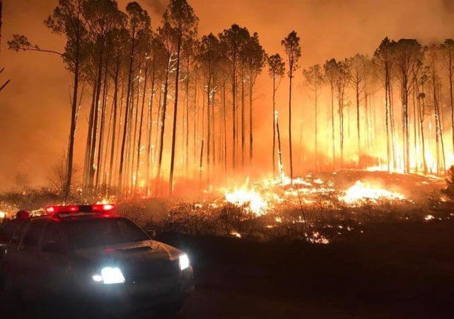 Córdoba: piden declarar alerta amarilla ante los incendios descontrolados en la provincia