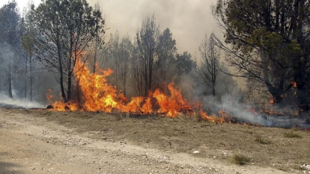 Tras ocho días sin incendios forestales activos, se registra un foco en Córdoba