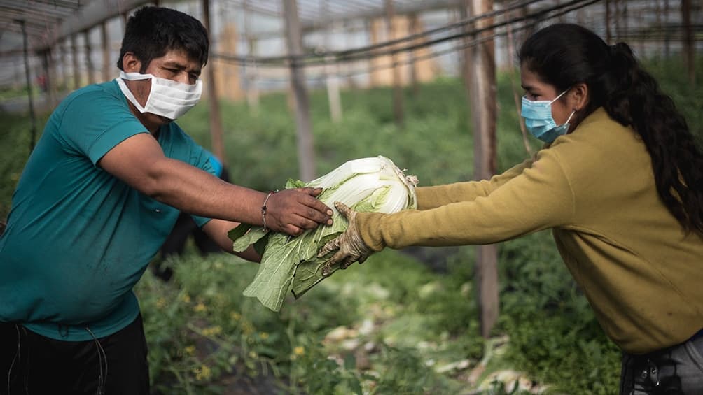 Creció el consumo de verduras agroecológicas durante la pandemia