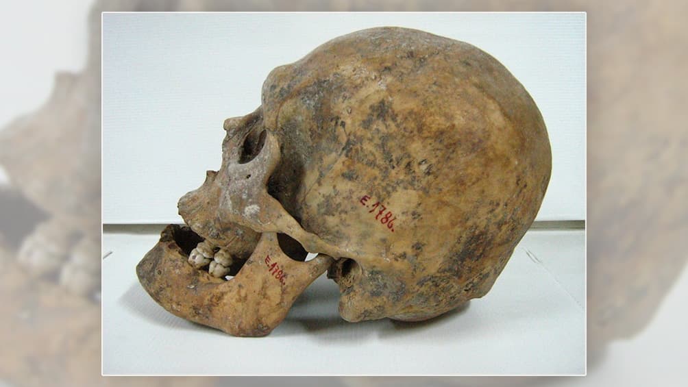 El Museo de La Plata restituirá a Michel, un mapuche asesinado en 1888