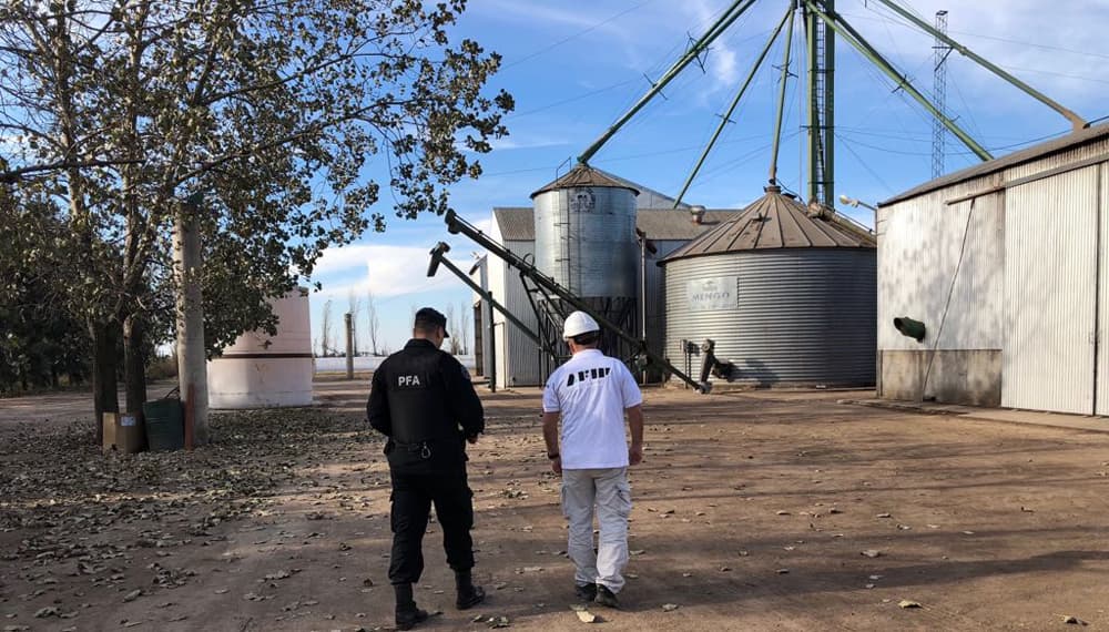 AFIP desarticuló evasión de más de 1.600 toneladas de granos
