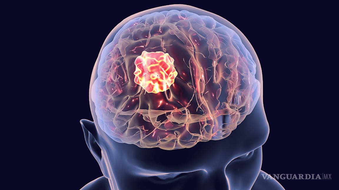 El trastorno obsesivo compulsivo está vinculado a un desequilibrio neuroquímico en el cerebro, según un estudio de Cambridge