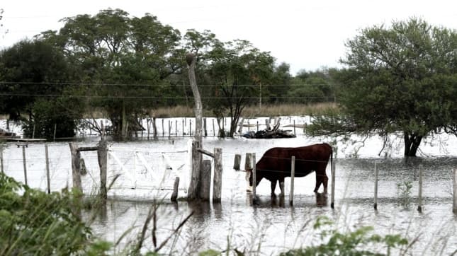 Alerta por abundantes precipitaciones en Chaco, Corrientes, Entre Ríos, Formosa, Misiones y Santa Fe