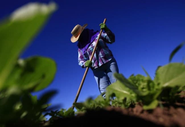 La brecha entre productor y consumidor, sin cambios