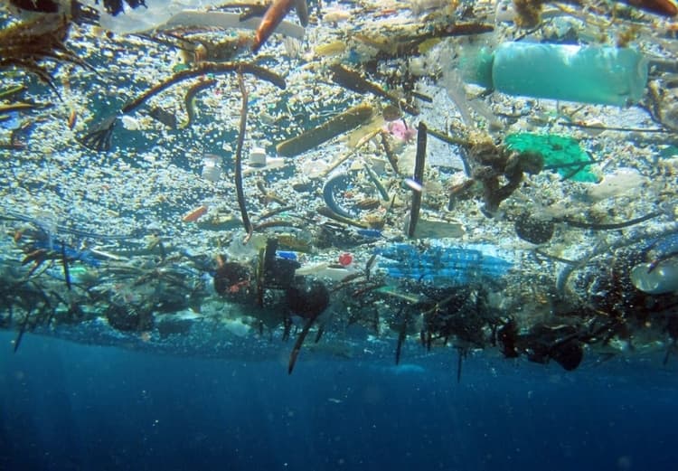 Sogas, redes y plástico: la alarmante realidad del parche de basura más grande del océano Pacífico
