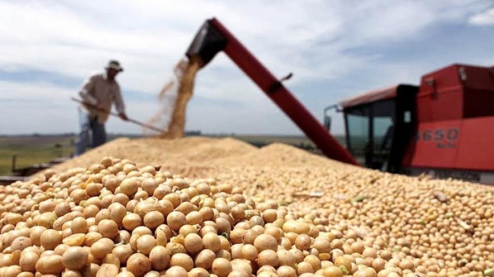 Cosecha récord de soja: creció un 60% en comparación con el ciclo anterior