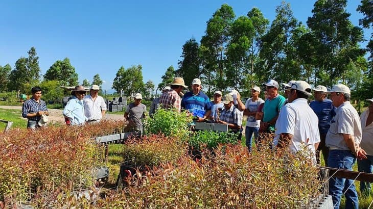 Los peones de campo reclaman el pago del aumento «solidario» de $4.000