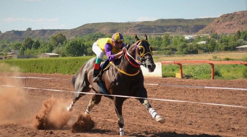 Un nene de seis años murió luego de ser embestido por un caballo durante una carrera en Mendoza