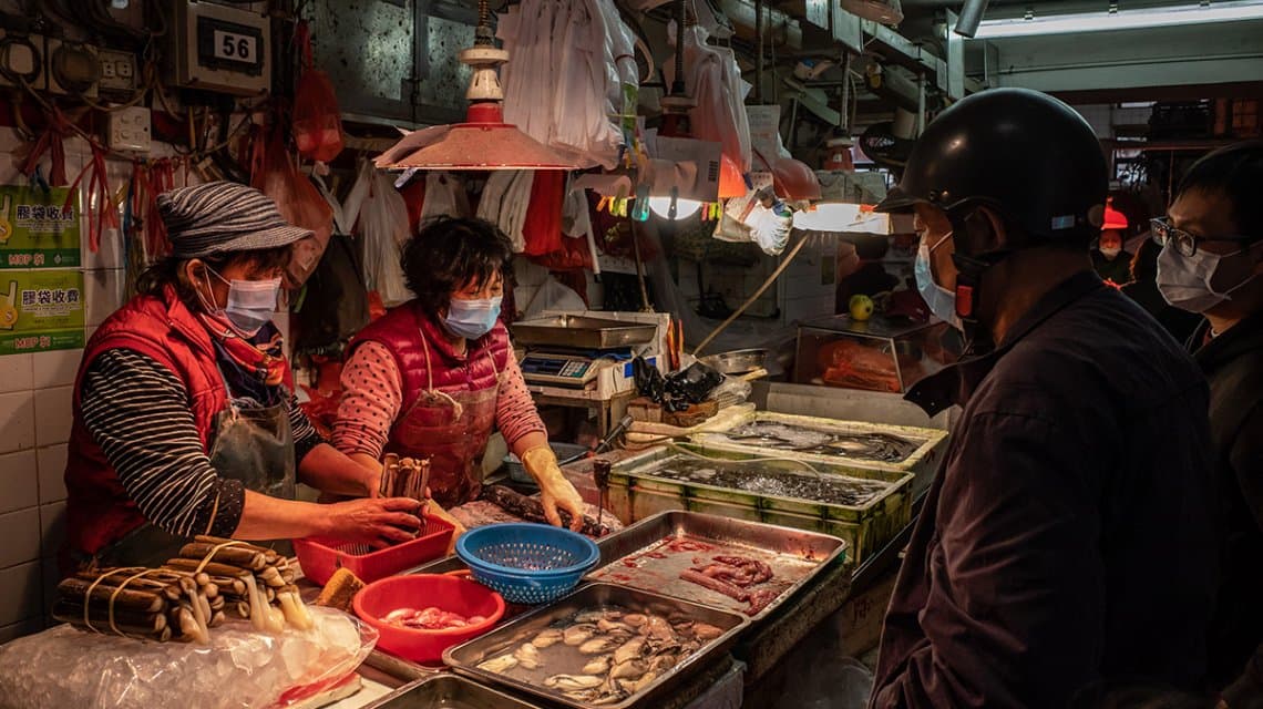 Acusan a China de reabrir los mercados de animales salvajes y una nueva investigación revela su extrema crueldad
