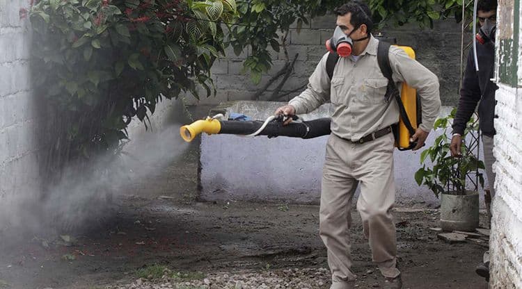 Tucumán: confirman 535 casos positivos de dengue