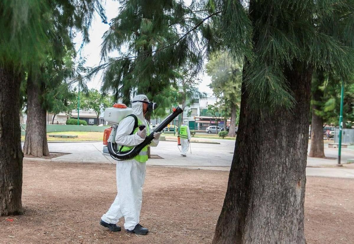 La cifra de infectados por dengue ya superó los 25 mil casos en todo el país
