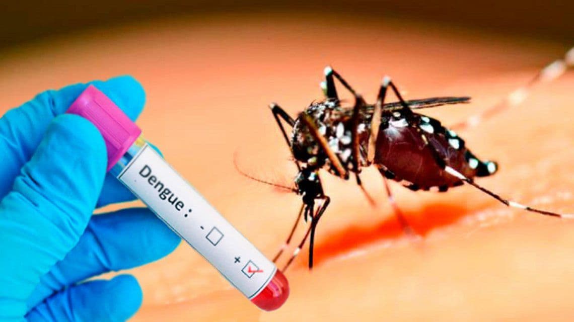 Provincia: detectaron más de 2.400 casos de dengue en el año