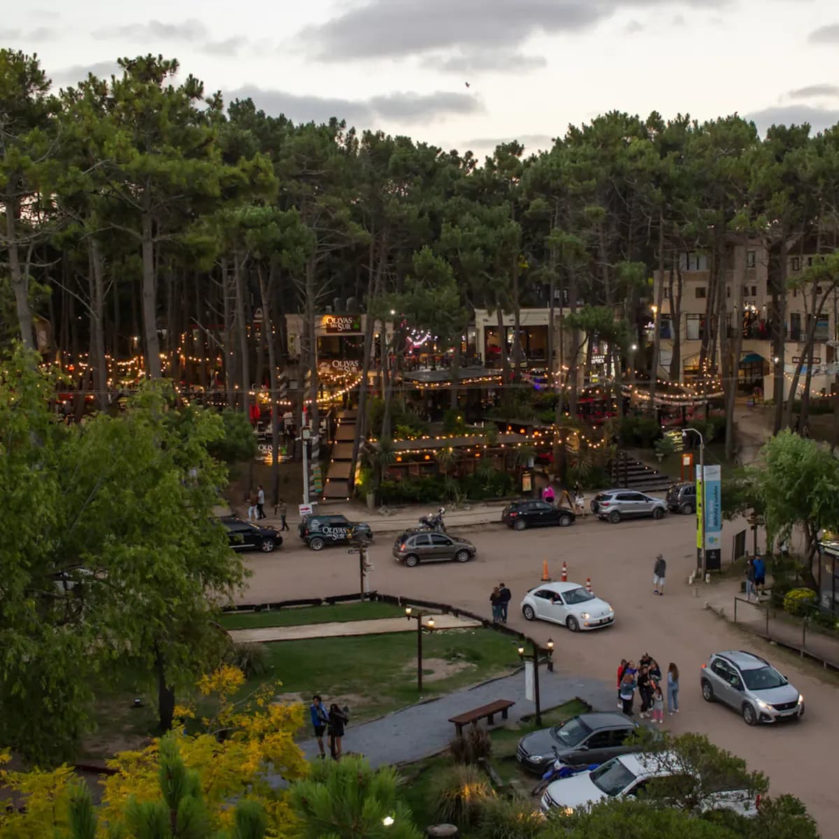 Calles de arena, bosques y playas: Mar de las Pampas va por un premio internacional