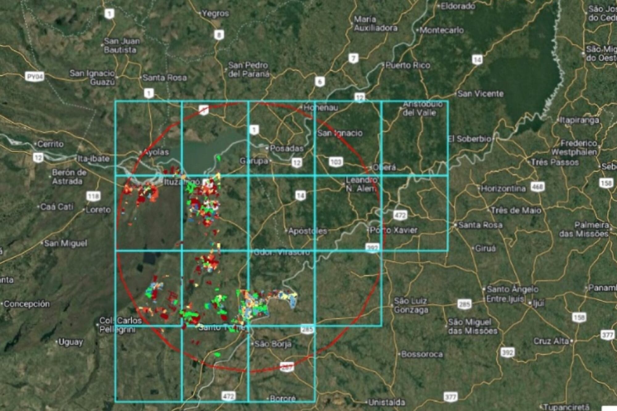 Featured image for: Base de datos: el Gobierno presentó una plataforma para mapear y mejorar la planificación de la industria forestal