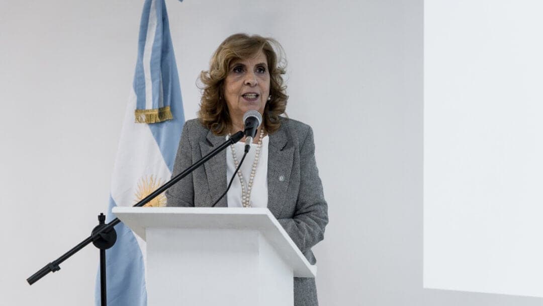 La Fiscalía apeló el fallo que suspendió la baja de la edad de imputabilidad y acusó a la jueza Pascual de avanzar sobre facultades del Congreso