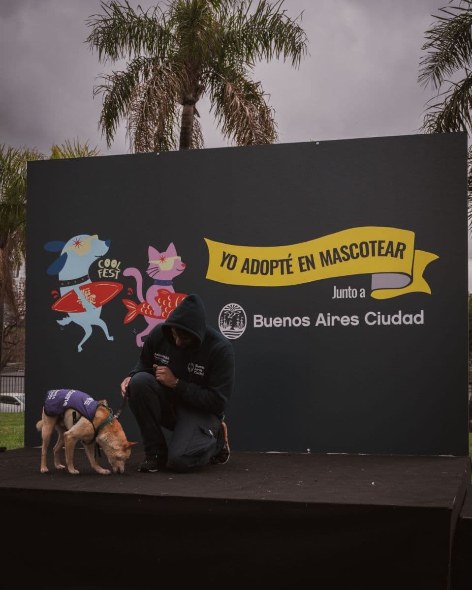Mascotear cerró una edición récord con más de 19.200 visitantes y nuevas propuestas para el bienestar animal