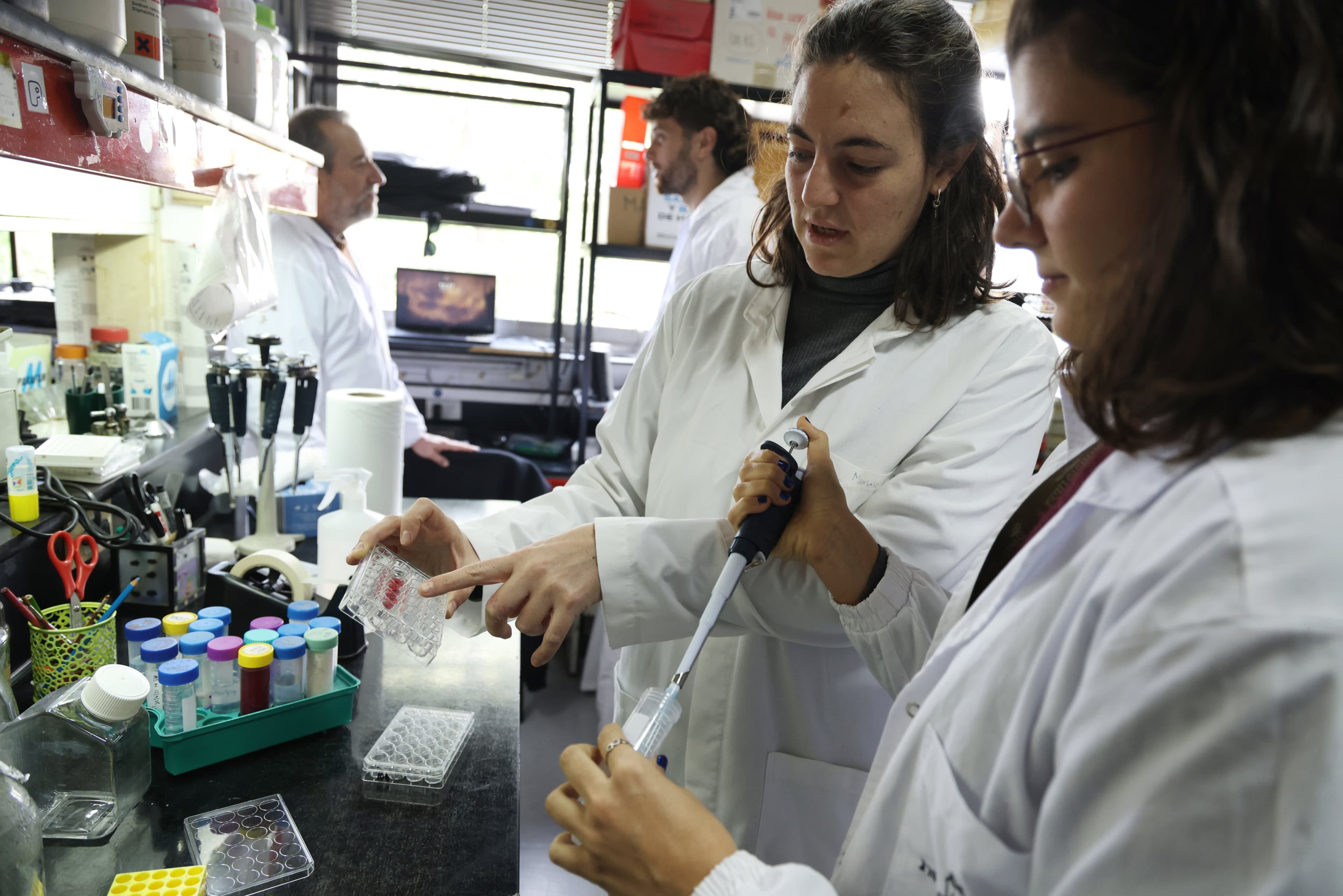 Premios Nobel y referentes de la ciencia mundial denuncian el “colapso” del sistema argentino en una carta dirigida a Milei