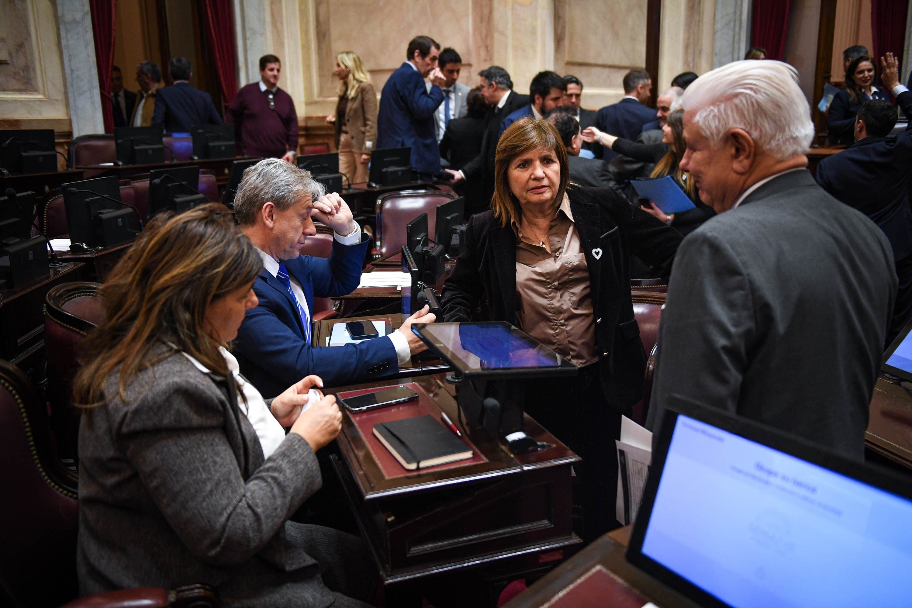Súper RIGI: el oficialismo buscará dictaminar la próxima semana en el Senado