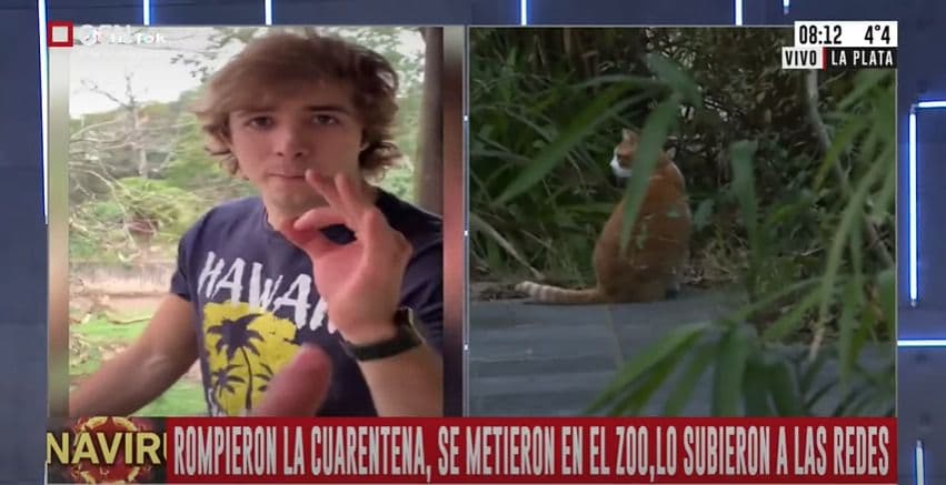 Rompieron la cuarentena para ir al zoológico: «Esto es como Jurassic Park»