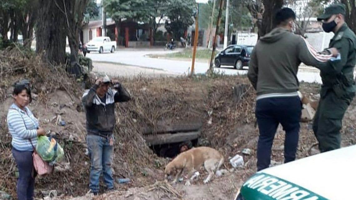 Salta: ciudadanos bolivianos intentaron ingresar al país por una alcantarilla