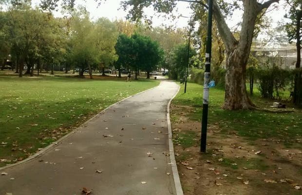Saavedra: Ladrones fingen ser vendedores de dólares y roban $700.000