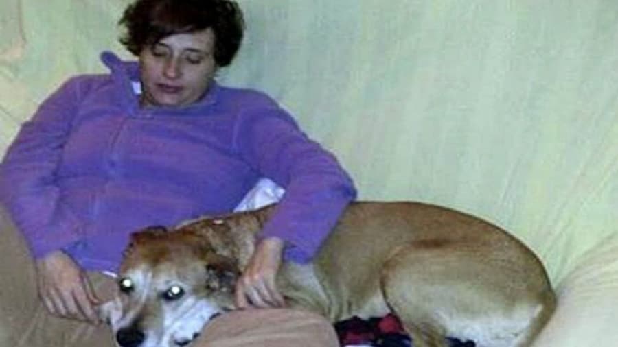 España: la enfermera Teresa Romero se curó definitivamente del ébola