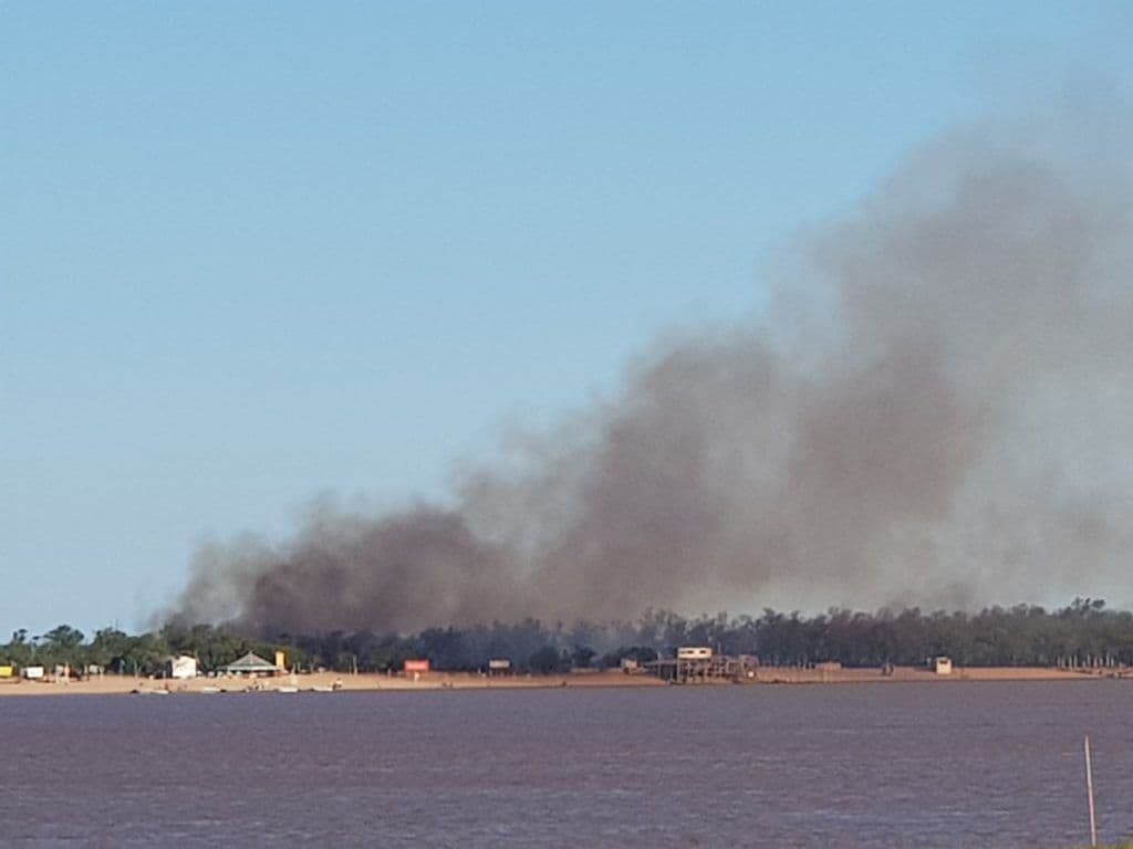 Rosario: el aire que se respira es cinco veces más tóxico a causa de los incendios en la región