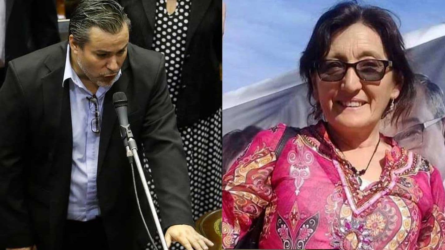 ¿Quién es Alcira Figueroa? La mujer que podría reemplazar a Juan Ameri en Diputados