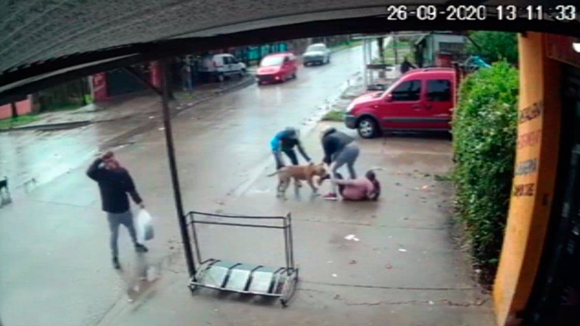 Brutal ataque de un pitbull a una nena de 7 años en San Miguel