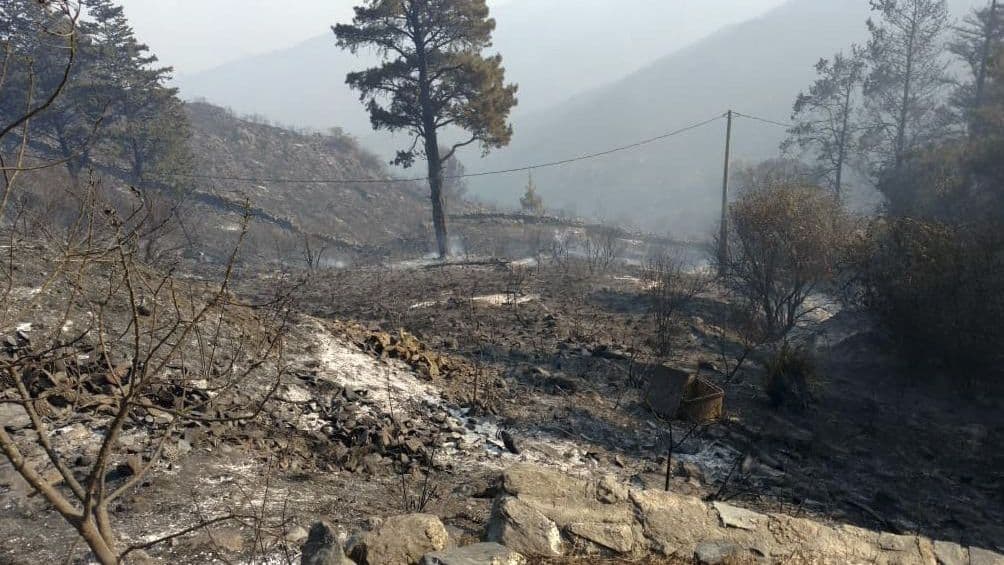 Tras los incendios, no quedan focos activos en Córdoba