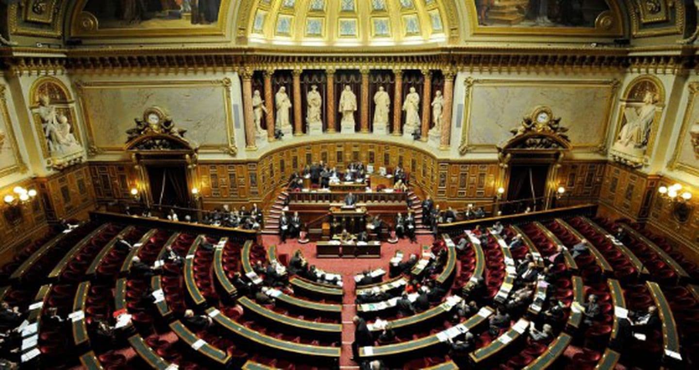 Francia da el primer paso para ampliar el plazo legal para abortar a 14 semanas de gestación