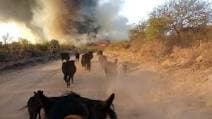 Incendios forestales: hay focos activos en Jujuy, San Luis y Córdoba