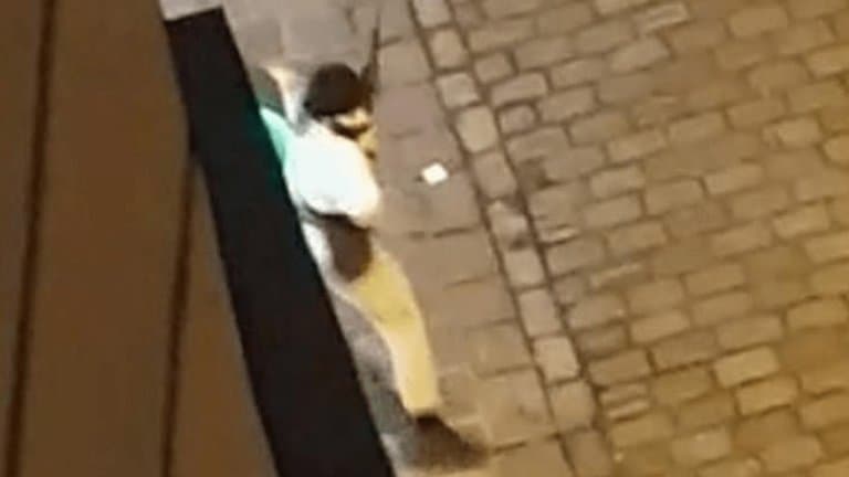 Identificaron al autor del ataque terrorista en Viena: Kujtim Fejzulai tenía 20 años y quiso unirse al Estado Islámico en Siria