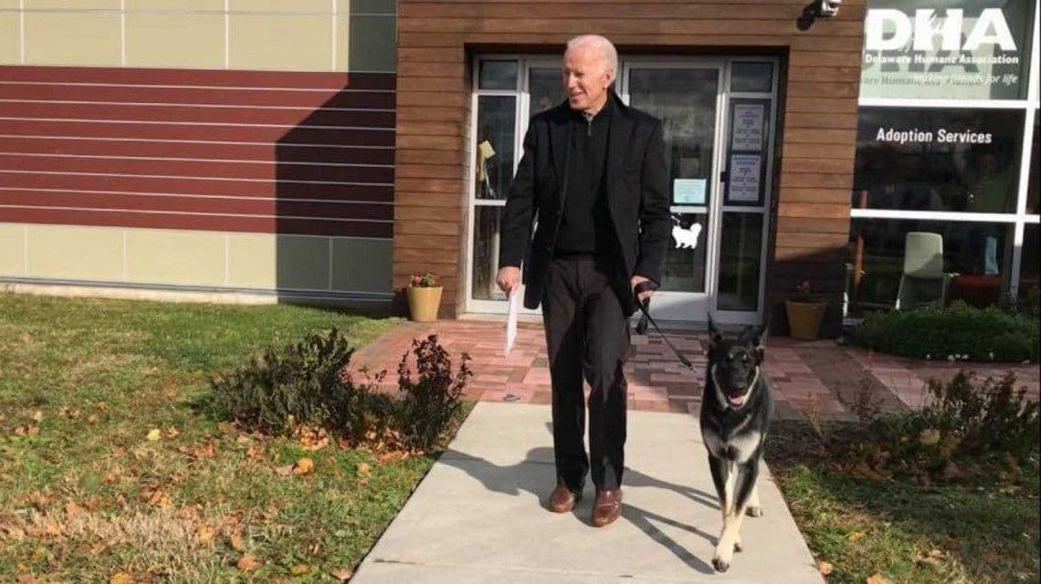 Joe Biden sufrió «fracturas mínimas» tras caer cuando jugaba con uno de sus perros
