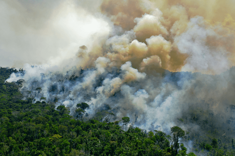 Nuevo récord de deforestación en la Amazonia brasileña en 12 años