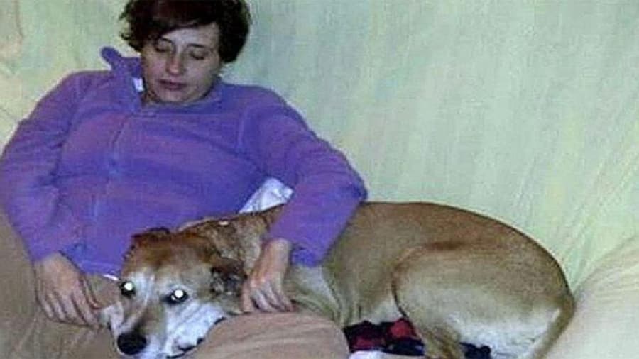 Sacrificaron a Excálibur, el perro de la enfermera con ébola