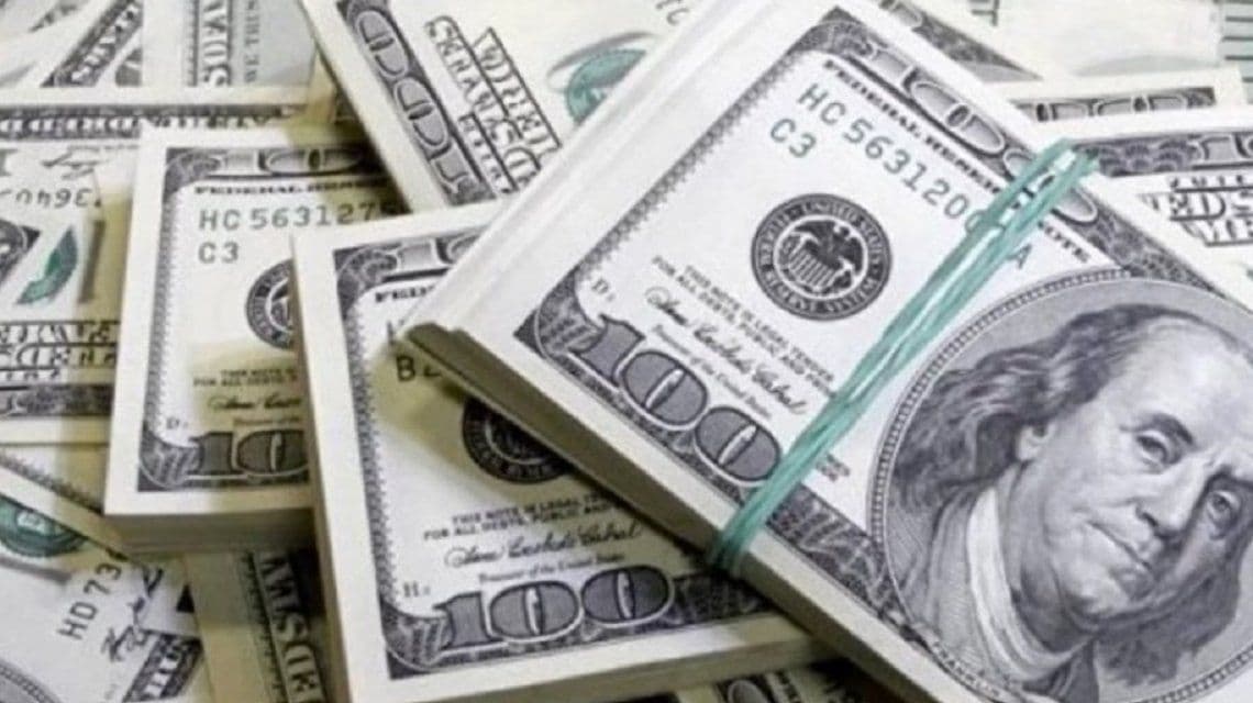 Boletín Oficial: la AFIP habilitó la web para consultar las percepciones por la compra de dólar ahorro