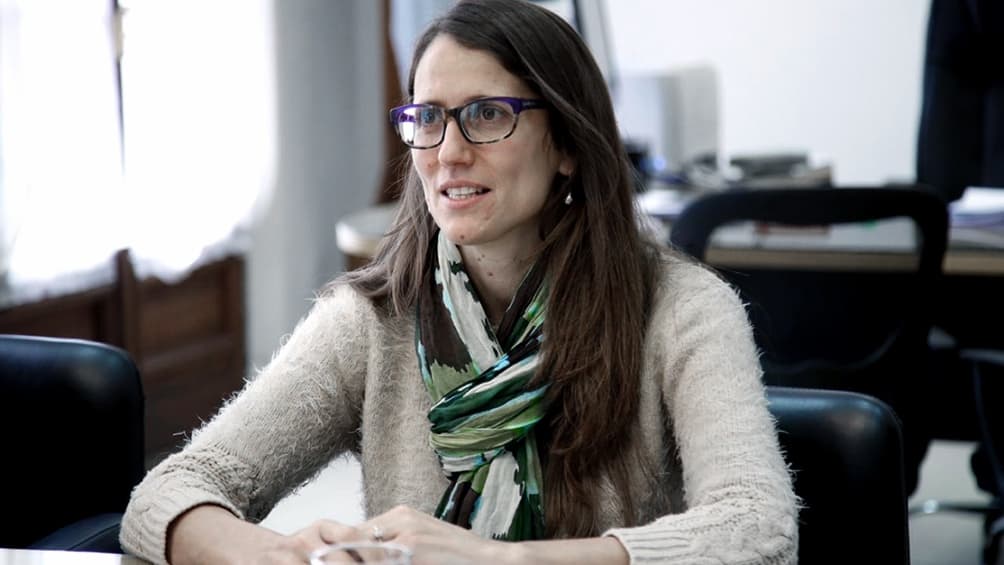 Gómez Alcorta: «Era una demanda histórica, un derecho que íbamos a conquistar»
