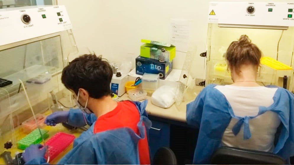 Coronavirus: Anmat autorizó un kit que permite un mayor número de muestras a un costo menor