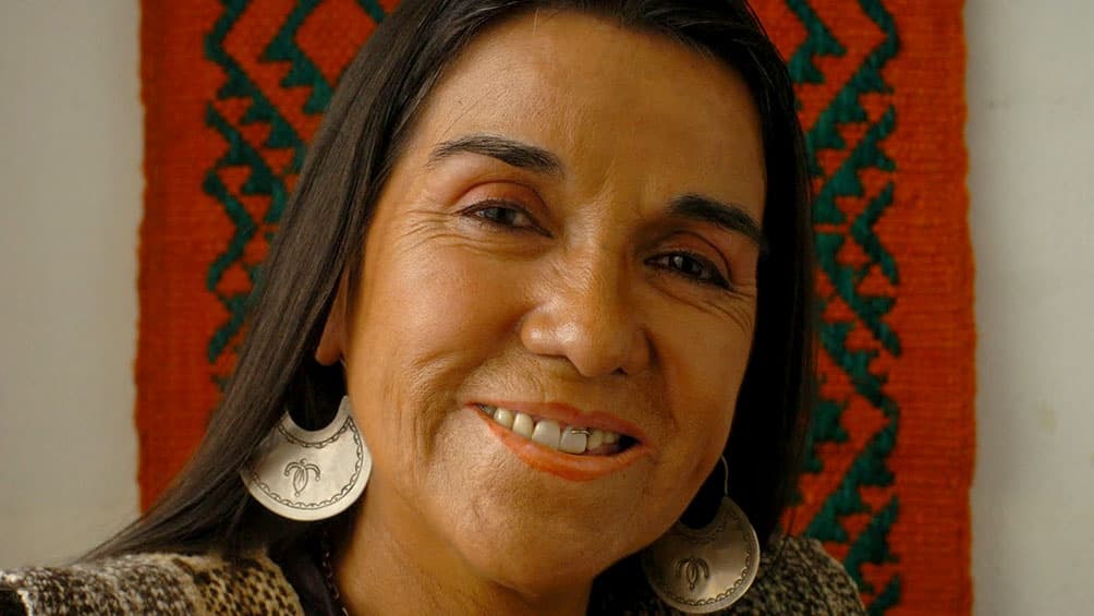 Distinguieron a la mapuche Luisa Calcumil como la artista más representativa de la región