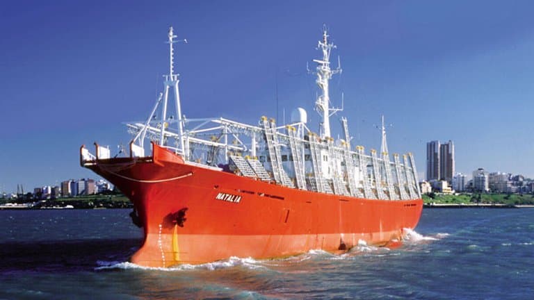 Mar del Plata: más de 40 personas quedaron aisladas por casos positivos de coronavirus en un barco pesquero