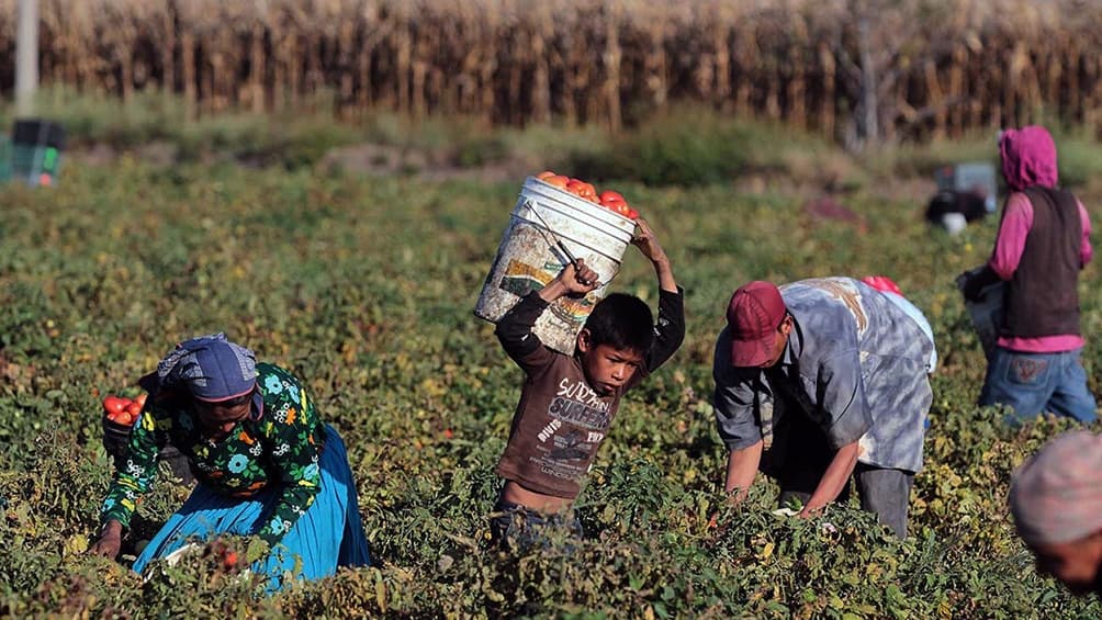 Rescataron a más de 100 trabajadores rurales «en condiciones infrahumanas»