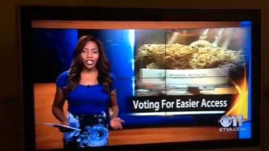 Periodista renunció tras pedir por la legalización de la marihuana