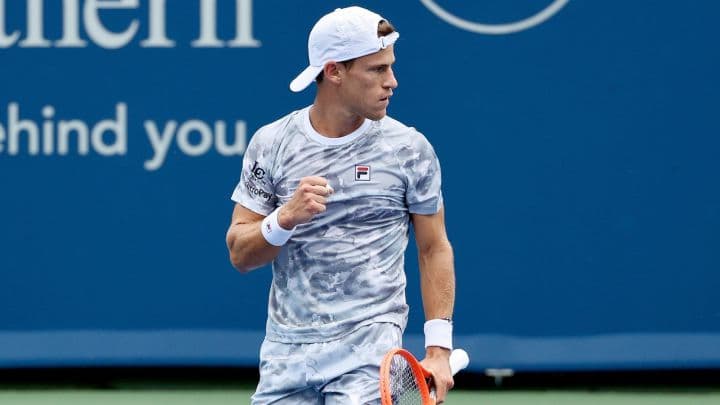 El «Peque» Schwartzman venció a Fognini en el ATP 500 de Viena