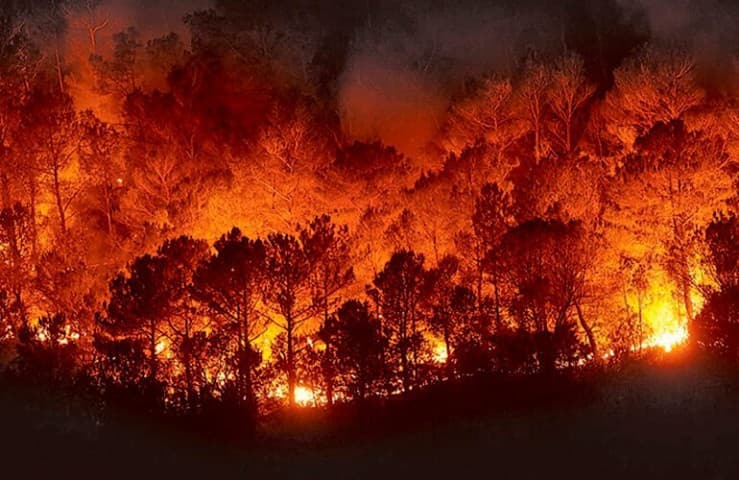 Incendios en la Patagonia: en Bariloche evacuaron familias y en Neuquén se encuentran afectadas más de 1.300 hectáreas