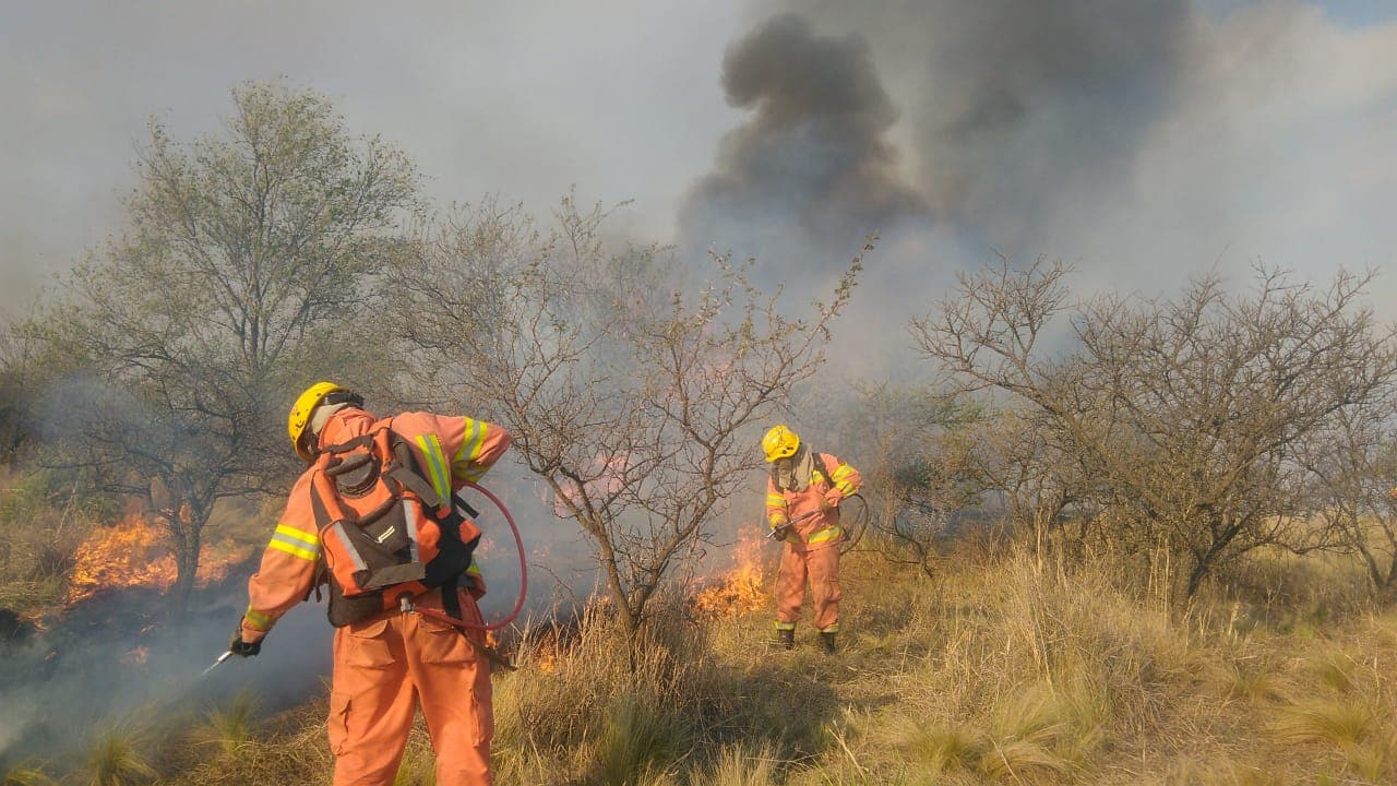 Incendios forestales: declaran la emergencia ígnea en todo el país por un año