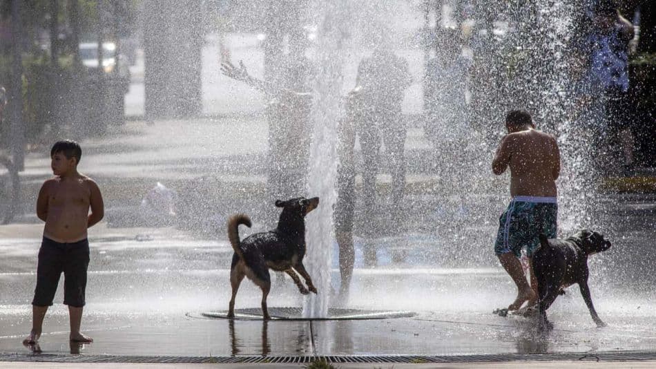 Ola de calor: la advertencia de la Organización Meteorológica Mundial por las altas temperaturas en la Argentina