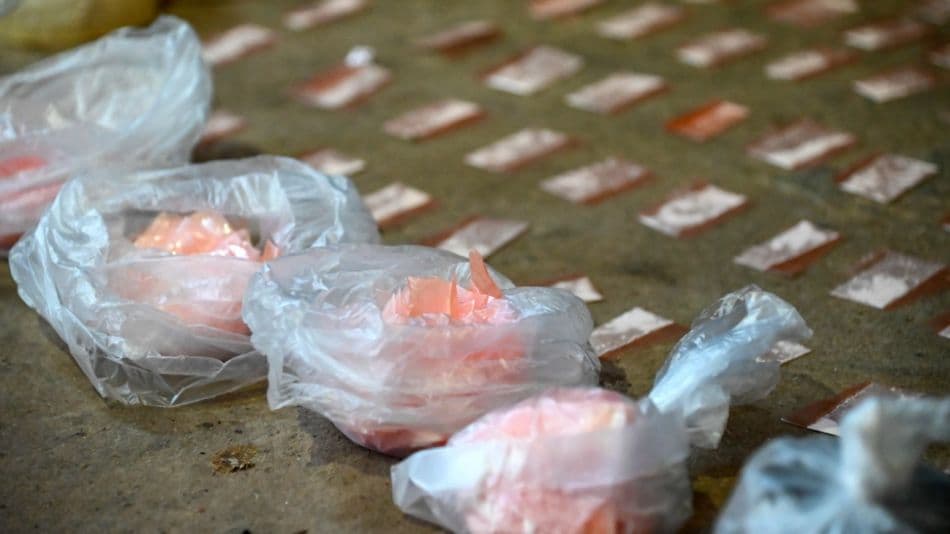 El ministerio de Salud bonaerense emitió una alerta epidemiológica por “intoxicación por consumo de cocaína adulterada”